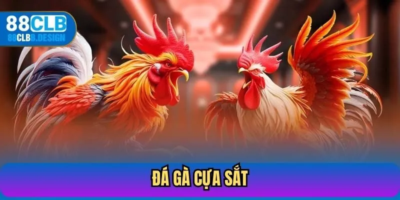 Đá Gà Cựa Sắt